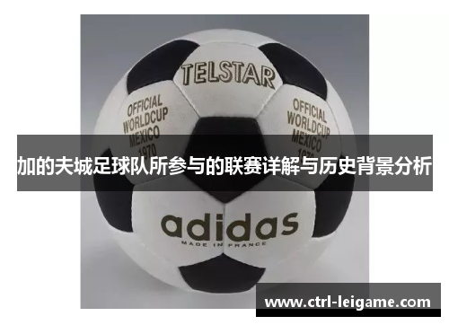 加的夫城足球队所参与的联赛详解与历史背景分析