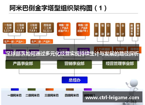 足球部落如何通过多元化经营实现持续生计与发展的路径探析